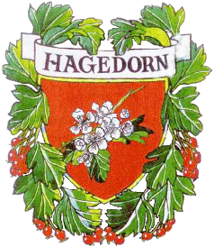 Hagedorn (Stadt Steinheim)